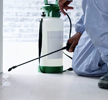 luvhengotrs-pest-control-1