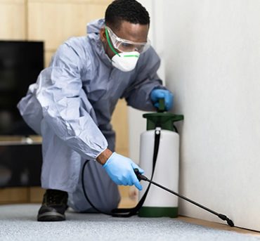 luvhengotrs-pest-control-2