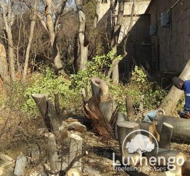 site-clearance-luvhengo-gallery-1