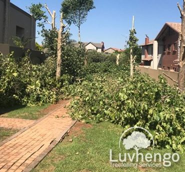 site-clearance-luvhengo-gallery-2