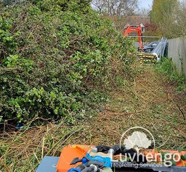 site-clearance-luvhengo-gallery-4